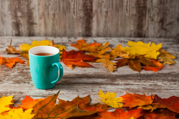 A Cup of tea. Frame of autumn leaves on wooden background. Yellow Red