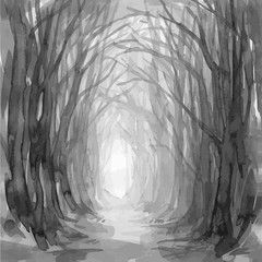 Woodland path. Ghostly forest trail, watercolor illustration. Old trees, enchanted forest, into the woods. Vector background