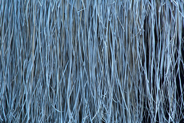 Textural natural background from dry tropical leaves