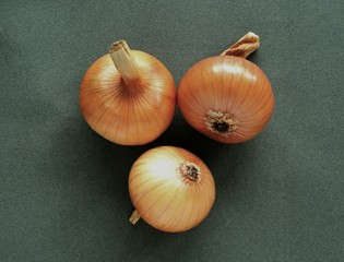 лук