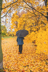 A lone unknown man with a black umbrella sad walking in the Park in the autumn rain.
