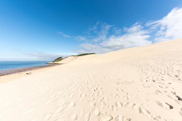 Dune du Pyla (Bassin d'Arcachon, France)