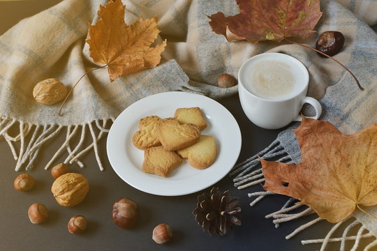 Tea Cup Hot Coffee Cappuccino Autumn Time Cookie Tinted Toned Photo Knitting Scarf Yellow Leaves Chestnuts Black Background Sunlight