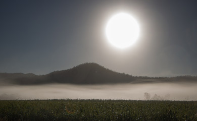 Morgenstunde Nebel Sonne Australien