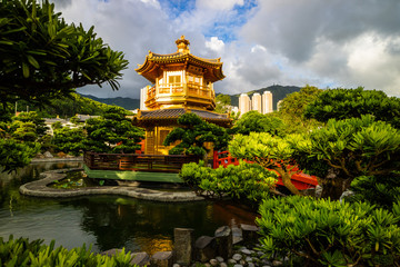 Nan Lian garden with golden pavilion, Hong Kong. A public chinese classical park in Diamond Hill, Kowloon