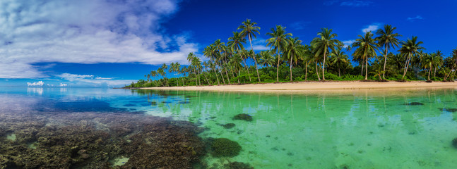 Beach with coral reef on south side of Upolu, Samoa Island with palm trees