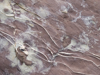 surface of old red marble