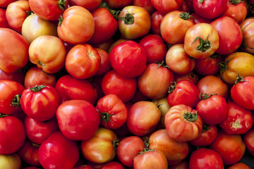 Red tomatoes. Village market organic tomatoes. Fresh tomatoes. Qualitative background from tomatoes.