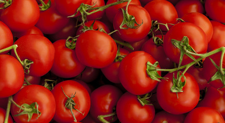 Ripe tasty red tomatoes. Village market organic tomatoes. Fresh tomatoes. Qualitative background from tomatoes.