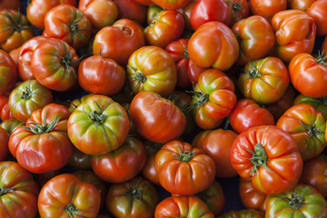 Fresh tomatoes. Red tomatoes. Village market organic tomatoes. Qualitative background from tomatoes.