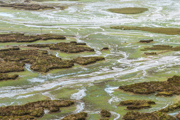 aerial view of swamp