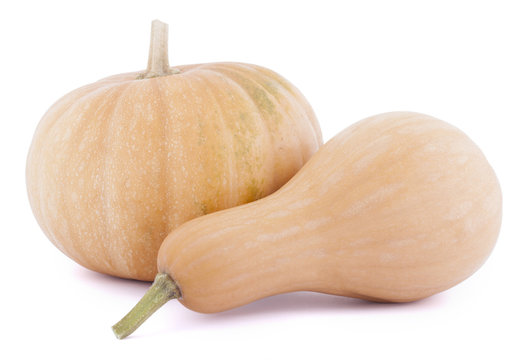 Two pumpkins on white background