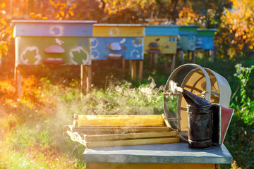 Old bee smoker. Beekeeping tool. Autumn in an apiary. Apiary.