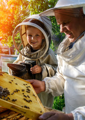An experienced beekeeper transfers knowledge of beekeeping to a small beekeeper. The concept of transfer of experience.