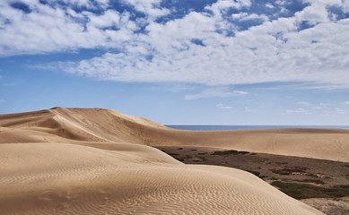 Dünen von Maspalomas