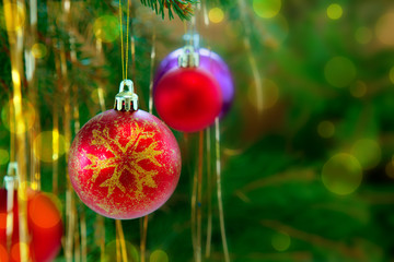Colorful christmas balls isolated on green fir tree background.