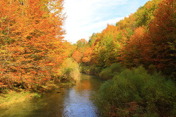 Autumn in nature