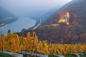 Autumn vineyard against Castle in Spitz with Danube river, Wachau, Austria