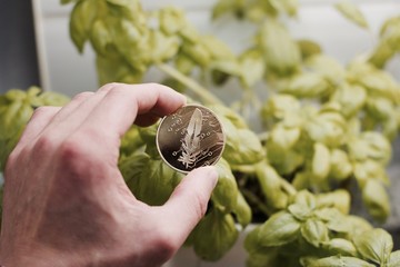 Cryptocurrency feather coin