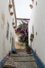 Fototapeta na wymiar Old town of Obidos, Portugal