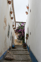 Old town of Obidos, Portugal