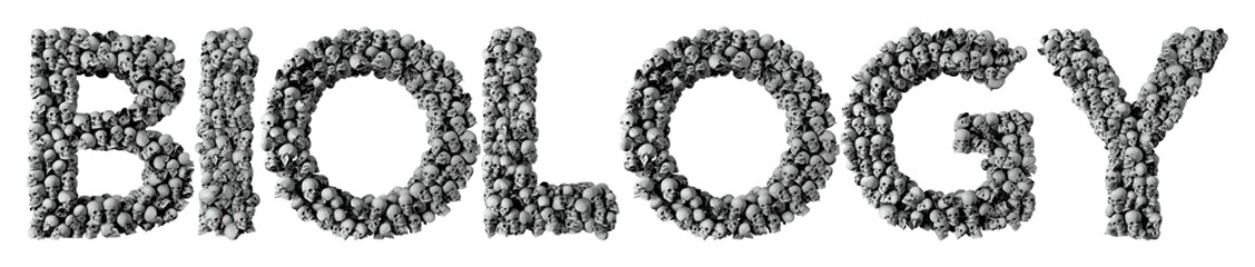 Biology word made from a skull font. 3D Rendering