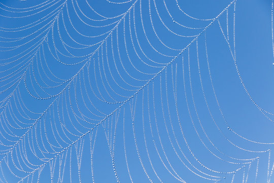 Spiderweb With Dew Drops And Blue Sky Background