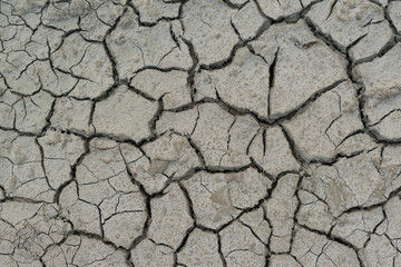 Dried earth with cracks