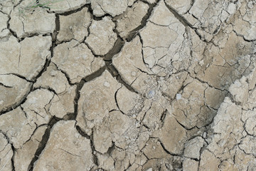 Dried ground with natural cracks