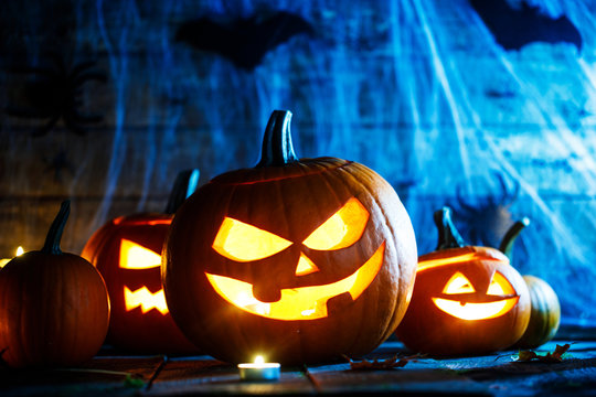 Halloween pumpkins and spiders