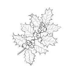 Mistletoe black and white branch, twig with leaves and berries, Christmas decoration element, sketch vector illustration on white background.