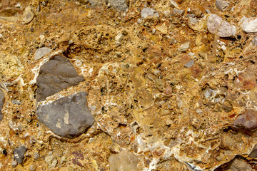 Sandstone and beach rock closeup.