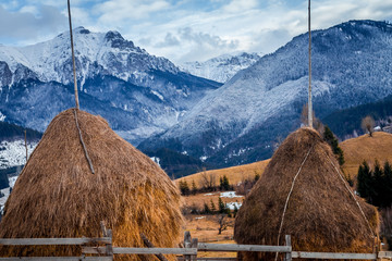 winter landscape in Romania. Haystacks and snowy Bucegi mountains (Carpathians) seen from Bran...