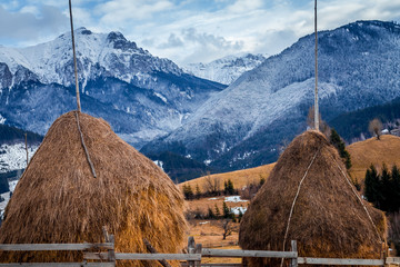 winter landscape in Romania. Haystacks and snowy Bucegi mountains (Carpathians) seen from Bran village, Transylvania. Romanian nature, landscape, scenery in wintertime. 
