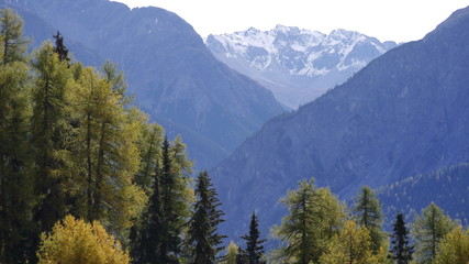 Schweiz Graubünden Engadin 9