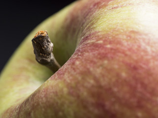 Pomme en gros plan - macro