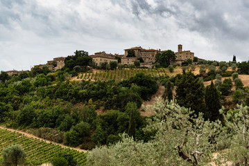 Fototapeta na wymiar Tuscan town overlooking the vineyards.