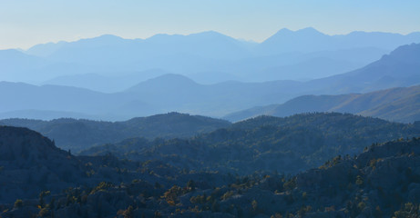 Obraz premium Vahşi Doğa