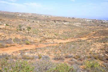 Idyllic landscape on Tenerife Island, Canary Islands, Spain