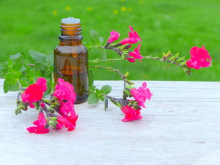 huile essentielle de fleur de sauge 