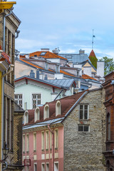 Fototapeta na wymiar roofs