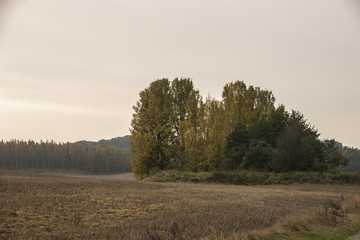 Obraz premium Skånska autumn landscape