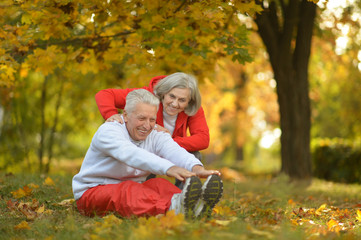  senior couple doing exercises