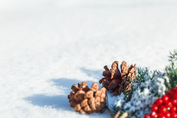 fir branches on snow, pine cones and red berries
