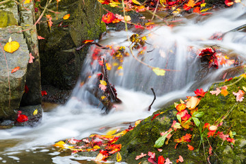 Fototapeta na wymiar Small beautiful waterfall on a tiny creek