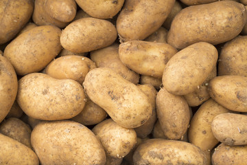 Potatoes in the market - Solanum tuberosum