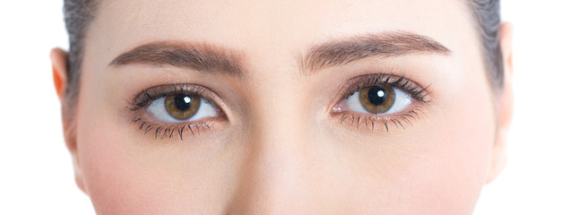 Obraz premium Closeup Shot of Woman Eye looking to Camera. Woman with Beauty Concept, Isolated on White Background.