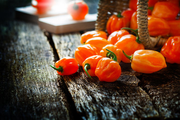 Orange Pepperoni auf Holztisch, frisch geerntet - 177794063