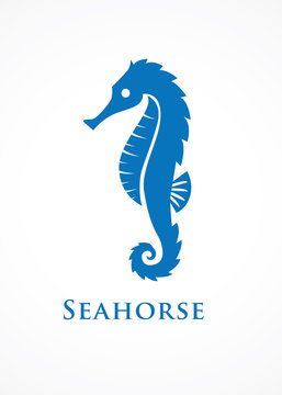 blue seahorse logo