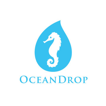 seahorse inside water drop